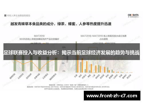 足球联赛投入与收益分析：揭示当前足球经济发展的趋势与挑战