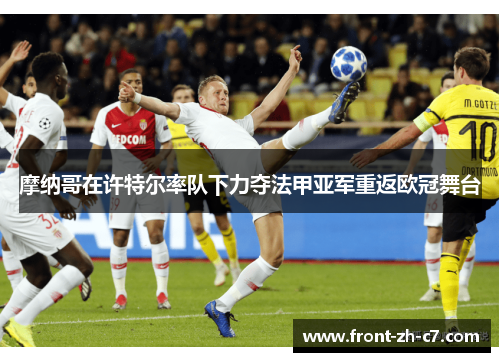 摩纳哥在许特尔率队下力夺法甲亚军重返欧冠舞台 摩纳哥在许特尔率队下力夺法甲亚军重返欧冠舞台