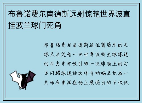 布鲁诺费尔南德斯远射惊艳世界波直挂波兰球门死角